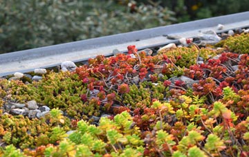 the cost of Glanvilles Wootton green roof installation