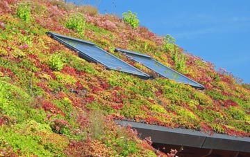 Glanvilles Wootton living roof systems